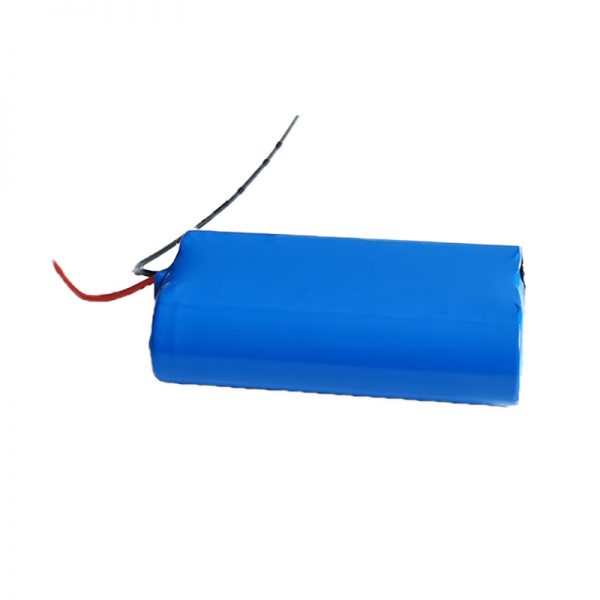 rechargeable li ion battery